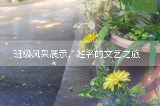 班级风采展示，姓名的文艺之旅