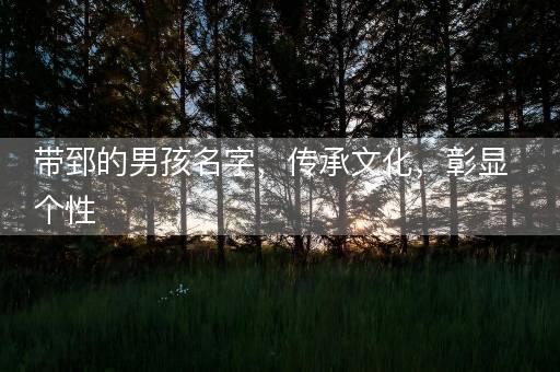 带郅的男孩名字，传承文化，彰显个性
