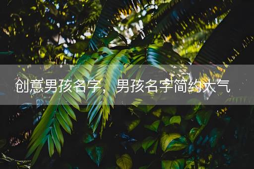 创意男孩名字，男孩名字简约大气