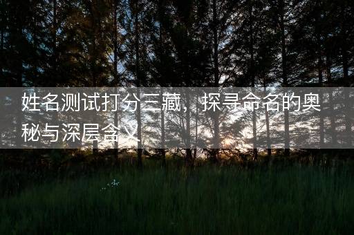 姓名测试打分三藏，探寻命名的奥秘与深层含义