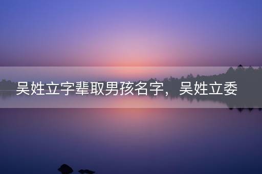 吴姓立字辈取男孩名字，吴姓立委