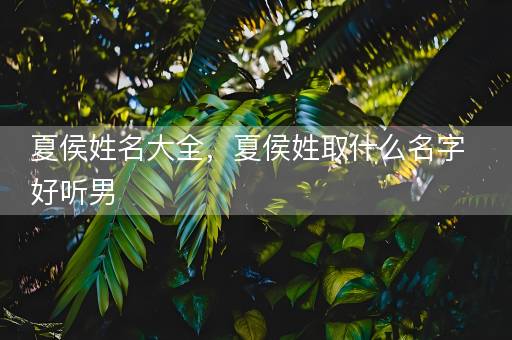 夏侯姓名大全，夏侯姓取什么名字好听男