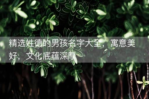 精选姓德的男孩名字大全，寓意美好，文化底蕴深厚