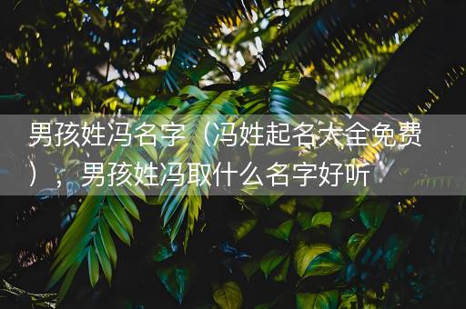 男孩姓冯名字（冯姓起名大全免费），男孩姓冯取什么名字好听