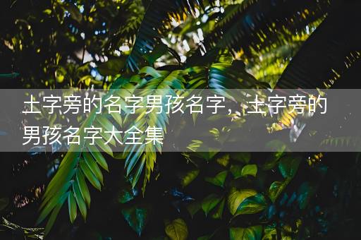 土字旁的名字男孩名字，土字旁的男孩名字大全集