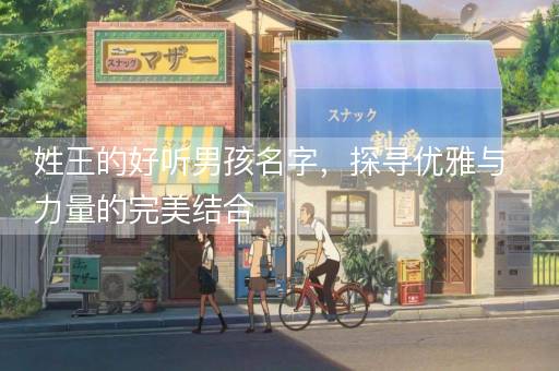 姓王的好听男孩名字，探寻优雅与力量的完美结合