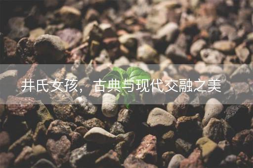 井氏女孩，古典与现代交融之美