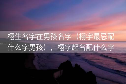 栩生名字在男孩名字（栩字最忌配什么字男孩），栩字起名配什么字好