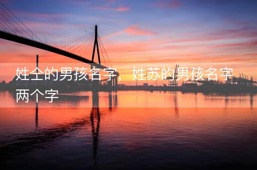 姓仝的男孩名字，姓苏的男孩名字两个字