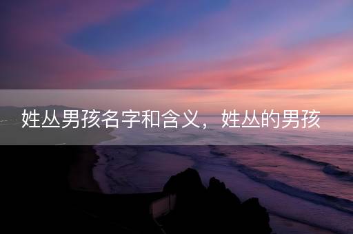 姓丛男孩名字和含义，姓丛的男孩
