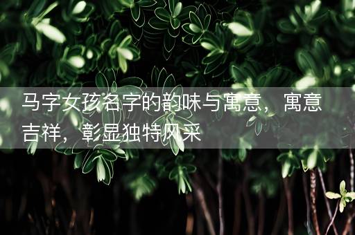 马字女孩名字的韵味与寓意，寓意吉祥，彰显独特风采