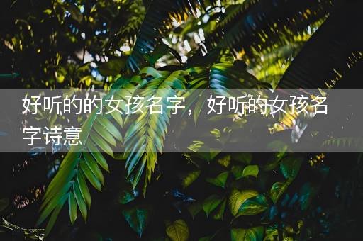 好听的的女孩名字，好听的女孩名字诗意
