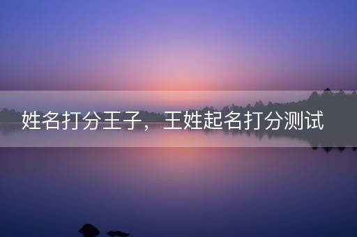 姓名打分王子，王姓起名打分测试