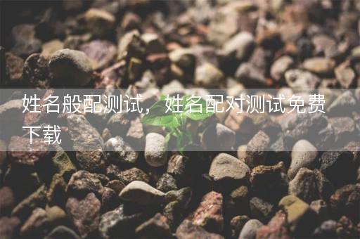 姓名般配测试，姓名配对测试免费下载