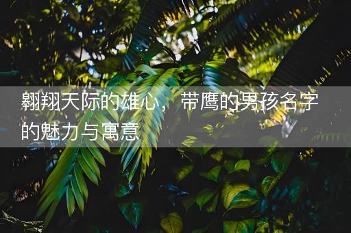 翱翔天际的雄心，带鹰的男孩名字的魅力与寓意