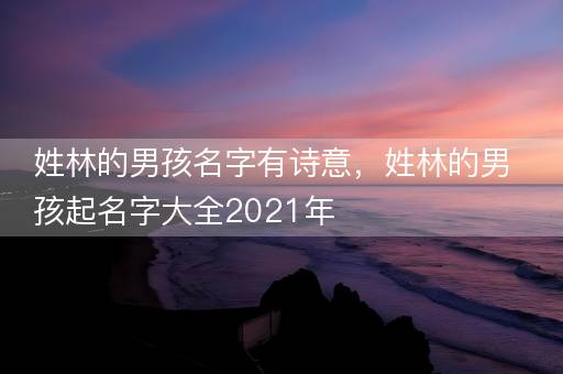 姓林的男孩名字有诗意,姓林的男孩起名字大全2021年 姓林的男孩名字有诗意,姓林的男孩起名字大全2021年