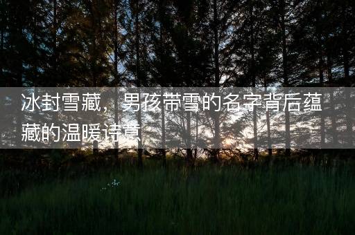 冰封雪藏，男孩带雪的名字背后蕴藏的温暖诗意