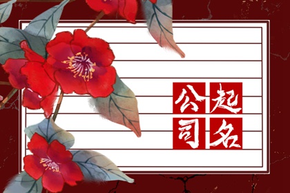 广告设计有创意的名字 有文化底蕴的公司名字