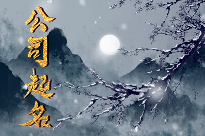 企业管理有限公司取名字大全 公司取什么名字好
