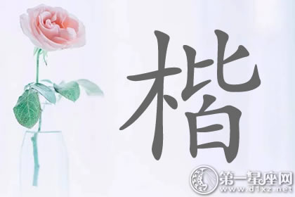 超正直的带楷字明星名字分析