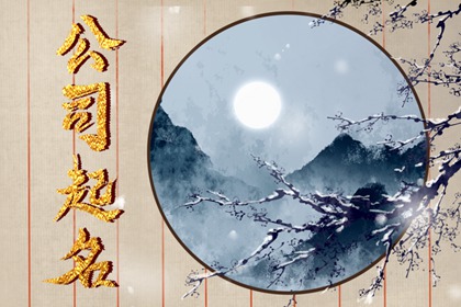 自己创业公司名字大全 2023年公司起名字