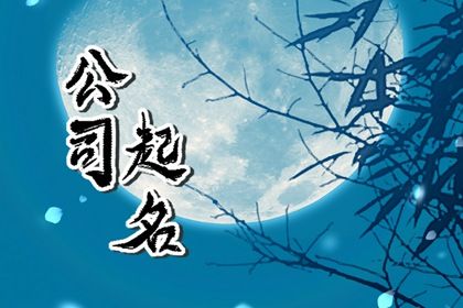 3字公司名字大全 必过公司注册三字名称大全