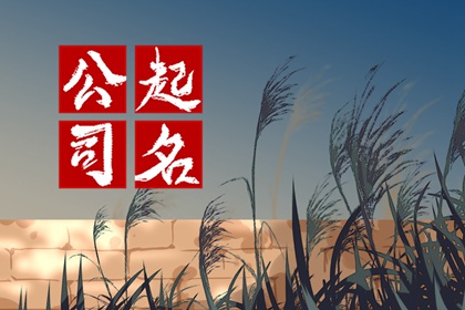 命中缺水起什么公司名 怎么给企业取名