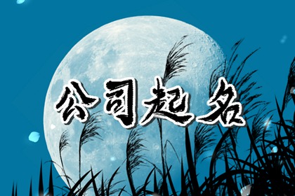 新公司取名字大全参考2022 新鲜独特的企业起名