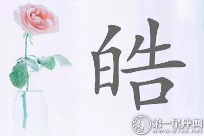 有朝气的带皓字明星名字分析