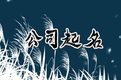 咨询服务公司起名大全集 管理咨询公司取名字
