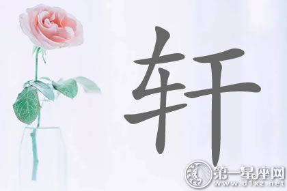 有气度的带轩字明星名字分析