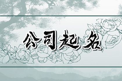旅游公司名称大全集最新 容易记住的旅游公司名称