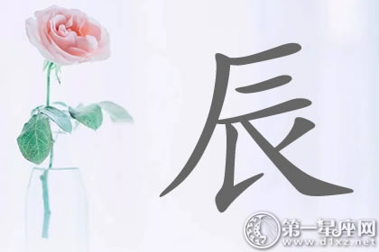 眼花缭乱！带辰字明星名字分析