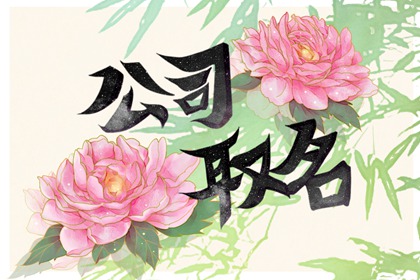 新公司起名字2023年取名 海量公司好名字