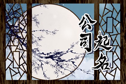 中药饮片类公司起三个字的公司名字