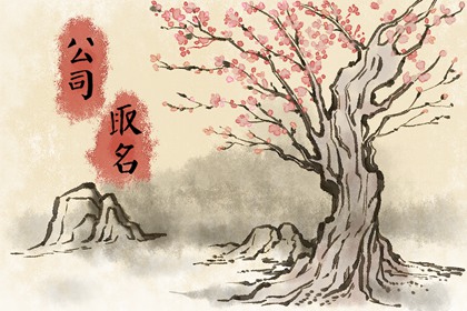 响亮大气的新型保温材料行业公司名字大全2021年