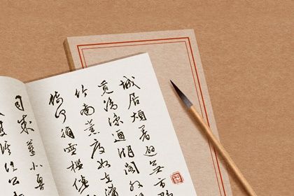 1989年属蛇人注册公司什么名字好 低调奢华取名