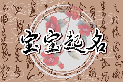 大雪出生的宝宝起乳名 有高度的名字