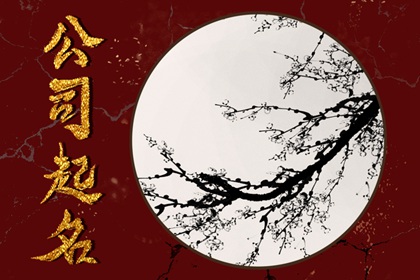 大气的摄影团队名字