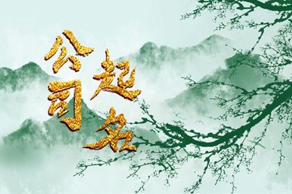 光电新注册公司名称大全三个字