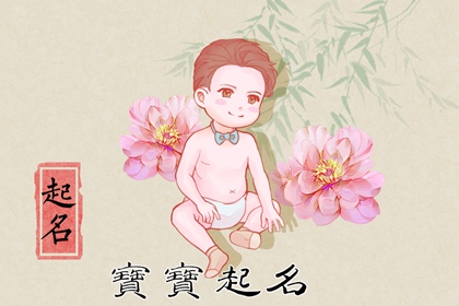 五行缺木的男孩取名 寓意男生阳光有朝气的名字