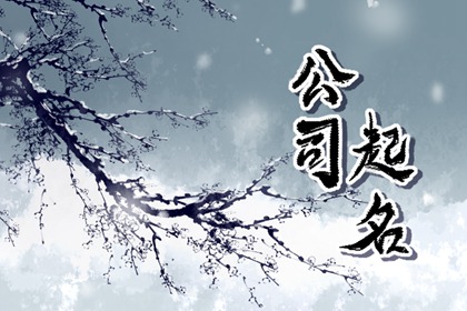 土地流转综合利用类公司起三个字的公司名字
