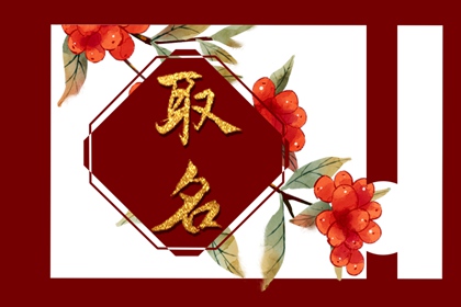 程姓兔年宝宝起名大合集 能力突出的小孩名字程氏