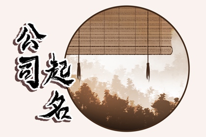 商业秘密保护咨询服务行业三个字有创意公司名字