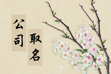 教育机构公司三个字免费商标起名