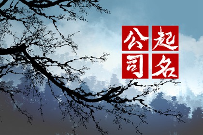 如何起名字才好听令人赞叹的企业名